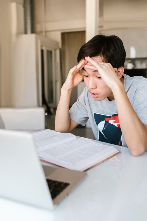 Student reviewing study material beside a laptop, illustrative stock photo